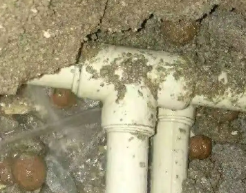 阿荣测漏水多少钱