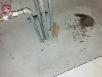 阿荣卫生间测漏水价格明细