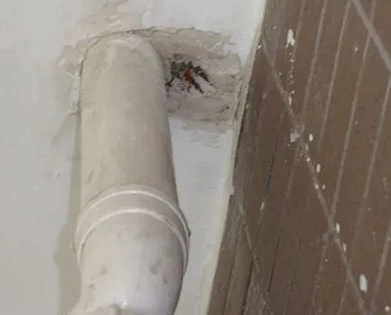 阿荣漏水检测哪家好